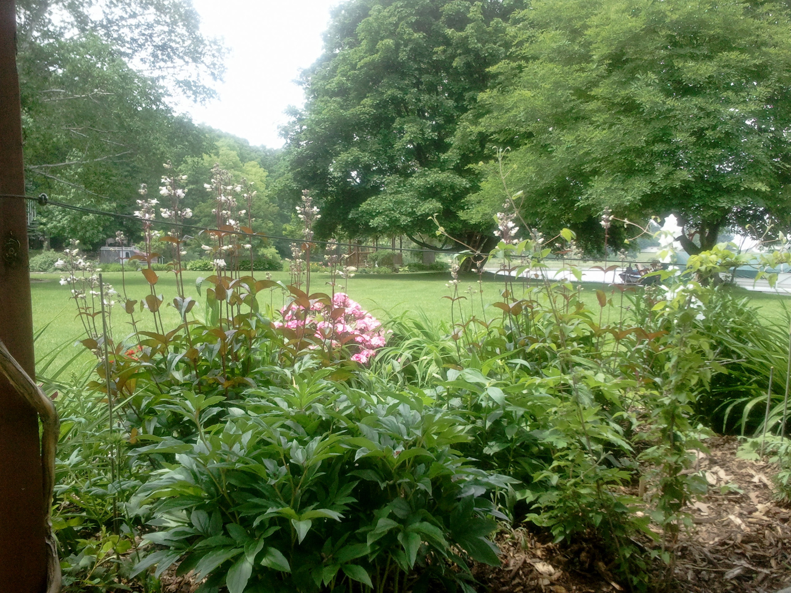 Looking through Flowering Gazebo flowerbed
